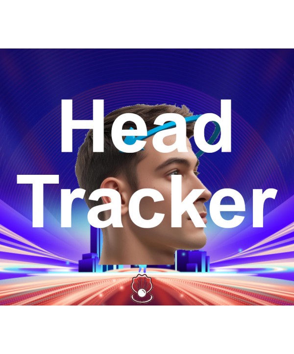 Head Tracker Steam Key GLOBAL